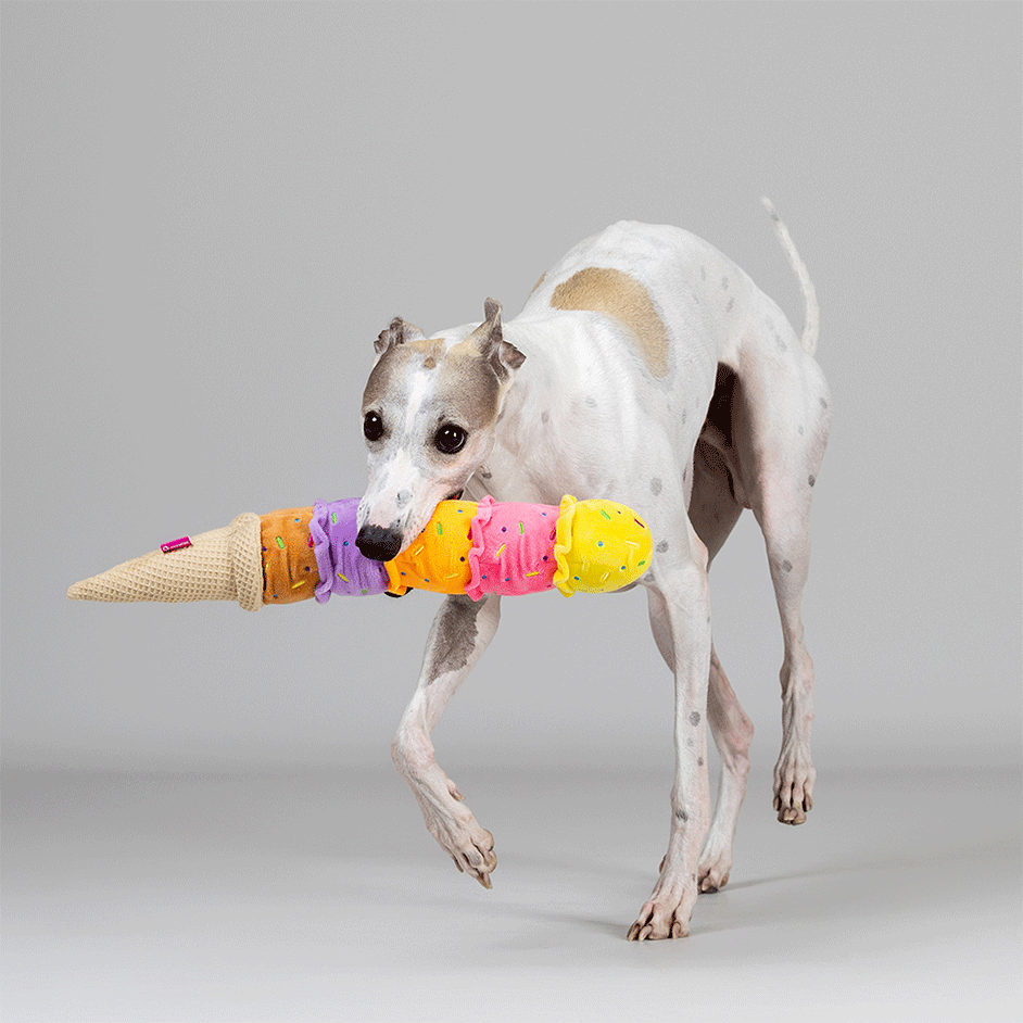 Brinquedo Pelúcia Qmonster Sorvete Cascão Colorido para Cães - Tam. Único
