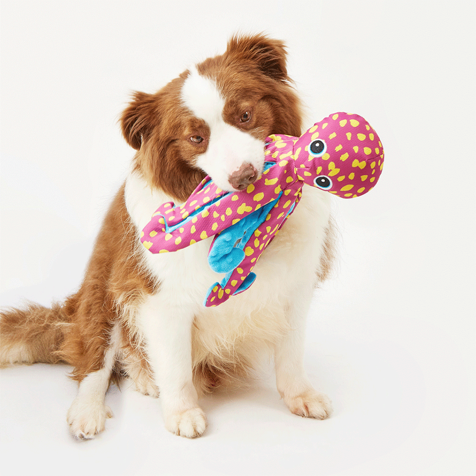 Brinquedo Pelúcia Fofos Polvo Dançante Rosa para Cães - Tam. Único