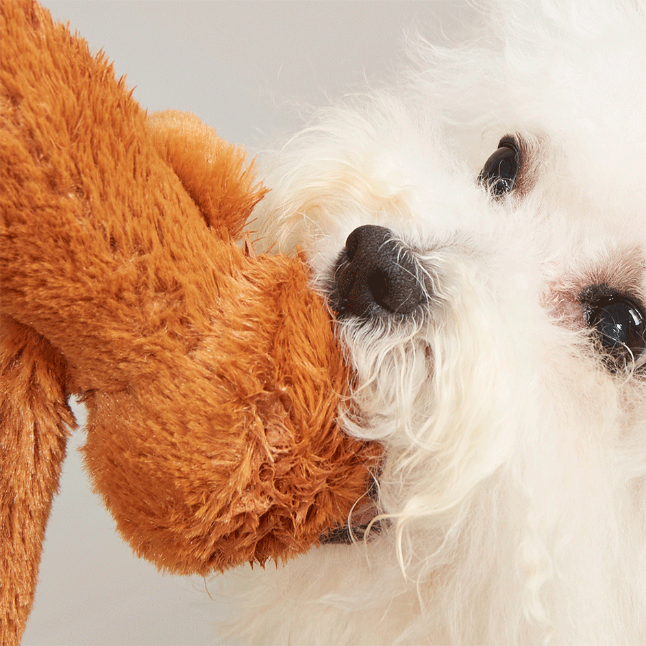 Brinquedo Pelúcia Fofos Preguiça e Ovelha Colorido para Cães - Tam. Único