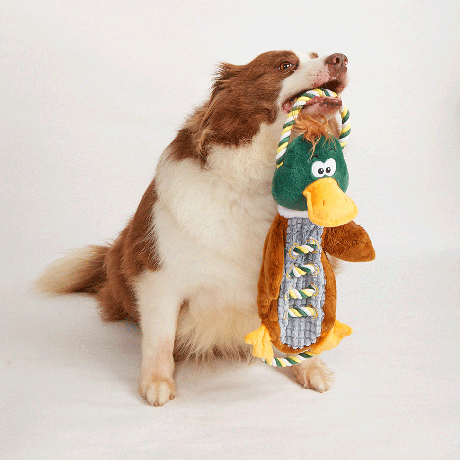 Brinquedo Pelúcia Fofos Pato com Corda Marrom para Cães - Tam. Único