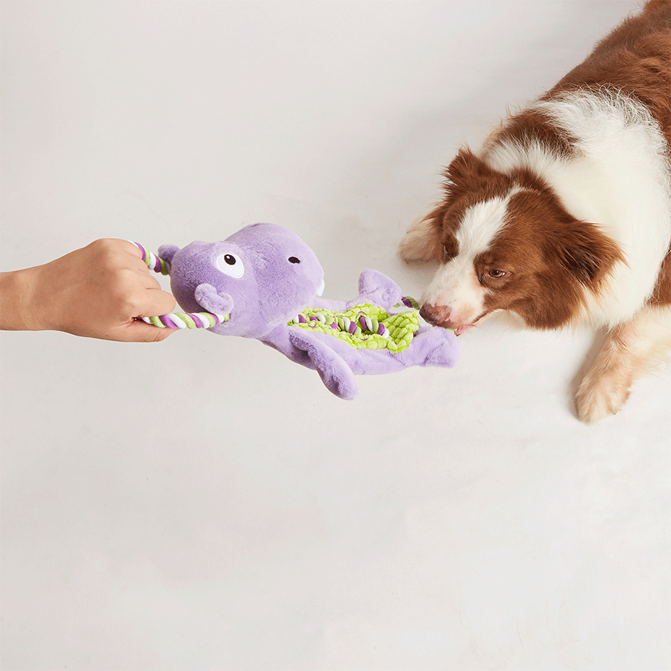 Brinquedo Pelúcia Fofos Hipopótamo Brincadeira De Corda Roxo para Cães - Tam. Único