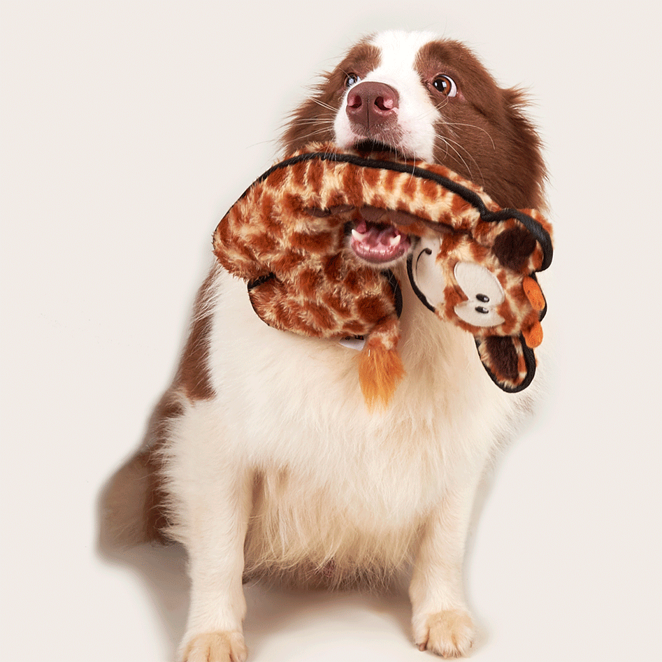 Brinquedo Pelúcia Fofos Girafa Safari Marrom para Cães - Tam. Único