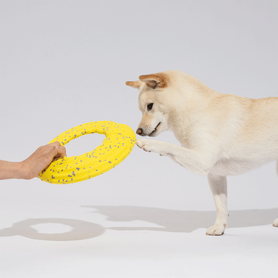 Brinquedo Interativo Fofos Flyer Amarelo para Cães - Tam. Único