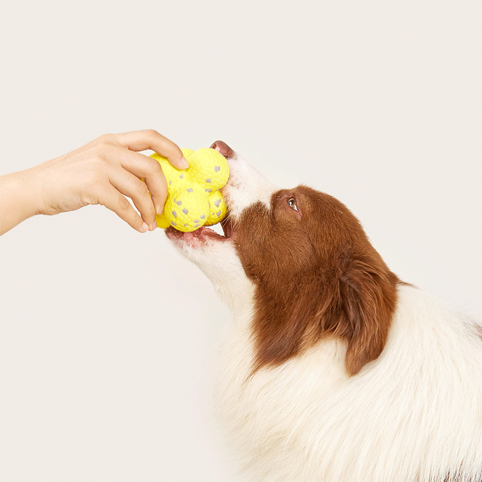 Brinquedo Interativo Fofos Molécula Amarelo para Cães - Tam. Único