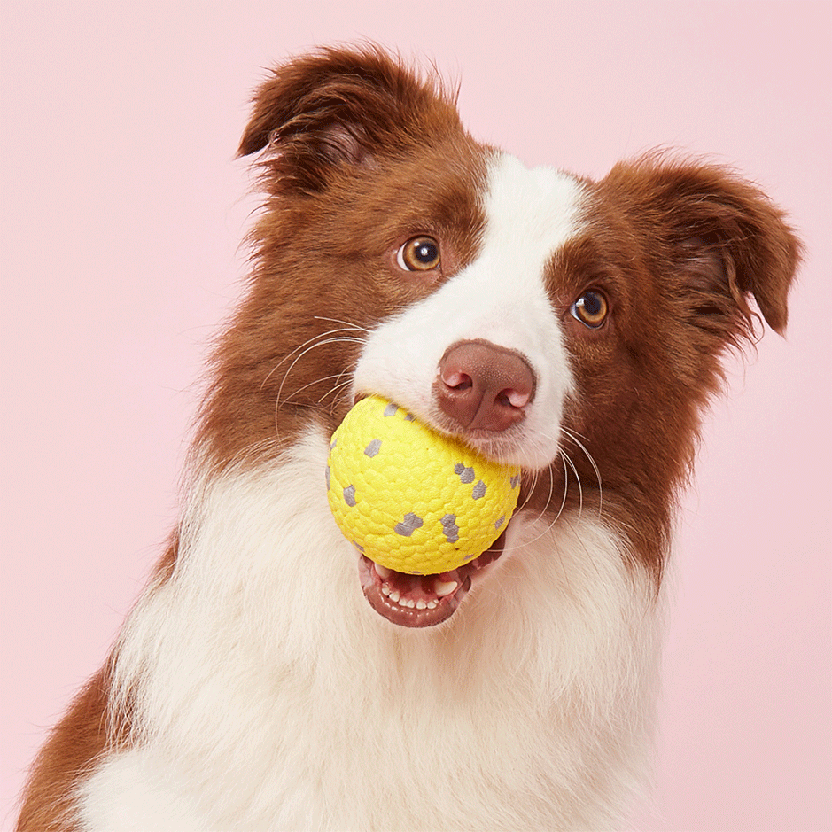Brinquedo Interativo Fofos Bola Amarelo para Cães - Tam. Único
