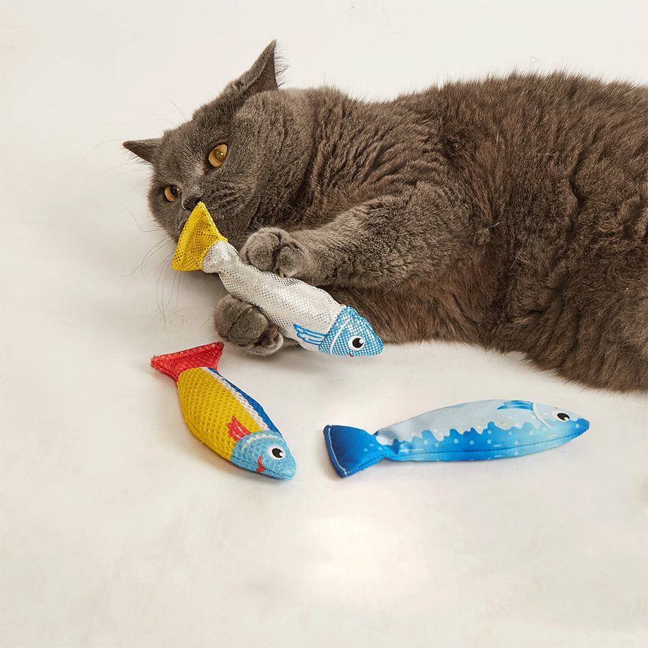 Kit Brinquedo Interativo Fofos Sardinha com Catnip Sortidas para Gatos - Tam. Único
