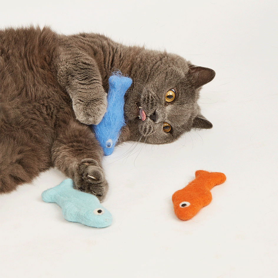 Kit Brinquedo Interativo Fofos Sardinha Sortidas para Gatos - Tam. Único