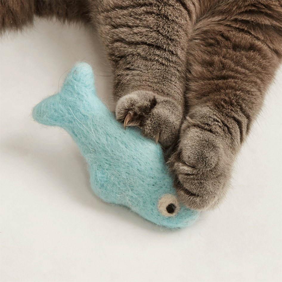 Kit Brinquedo Interativo Fofos Sardinha Sortidas para Gatos - Tam. Único