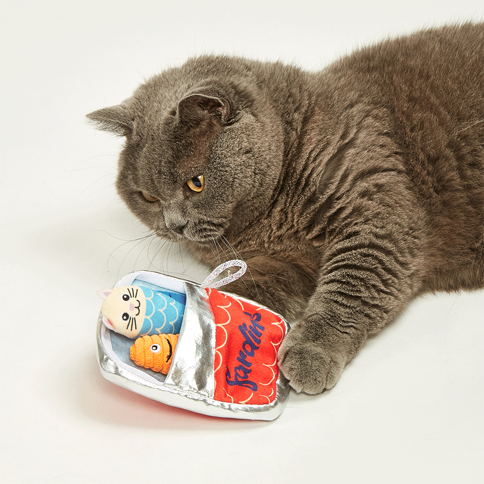 Kit Brinquedo Interativo Fofos Lata de Sardinhas com Catnip para Gatos - Tam. Único
