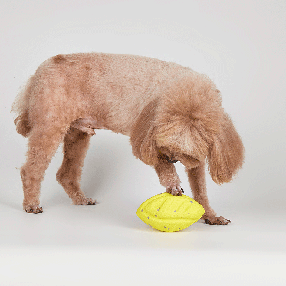 Brinquedo Interativo Fofos Bola de Rúgbi Amarelo para Cães - Tam. Único