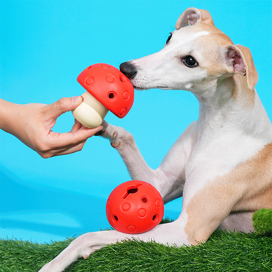 Brinquedo Interativo Zeze Cogumelo Vermelho e Verde para Cães - Tam. Único