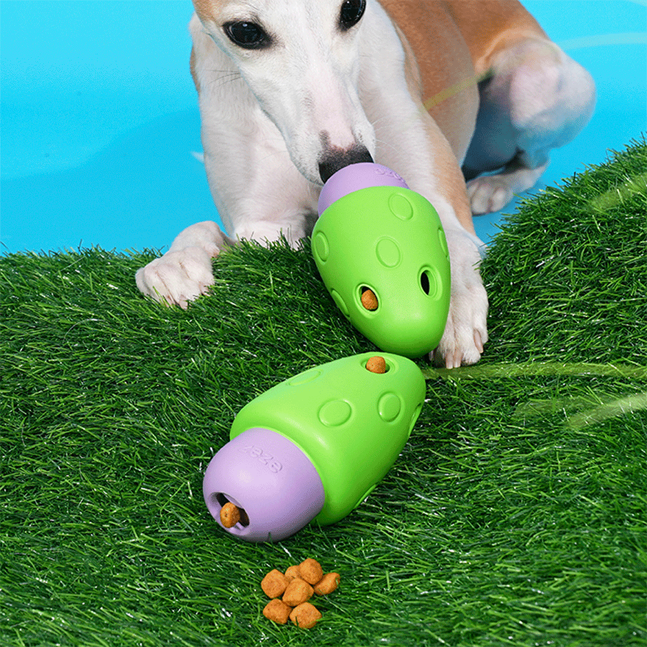 Brinquedo Interativo Zeze Cogumelo Verde e Roxo para Cães - Tam. Único