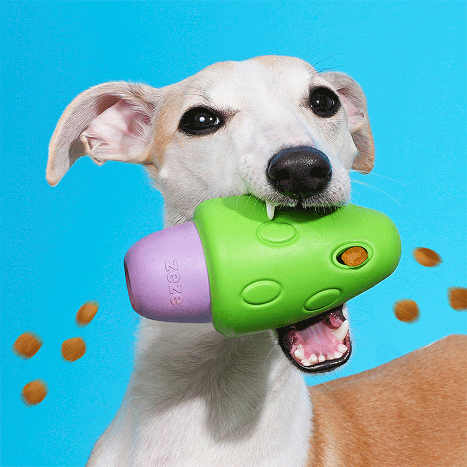 Brinquedo Interativo Zeze Cogumelo Verde e Roxo para Cães - Tam. Único