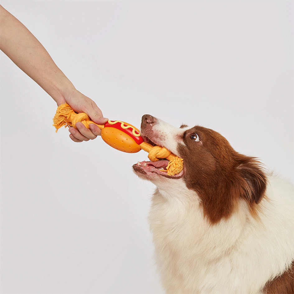 Brinquedo Interativo Fofos Cachorro Quente com Corda para Cães - Tam. Único