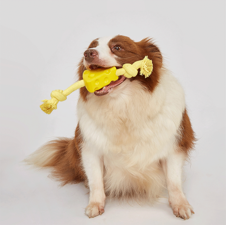 Brinquedo Interativo Fofos Espetinho com Corda para Cães - Tam. Único