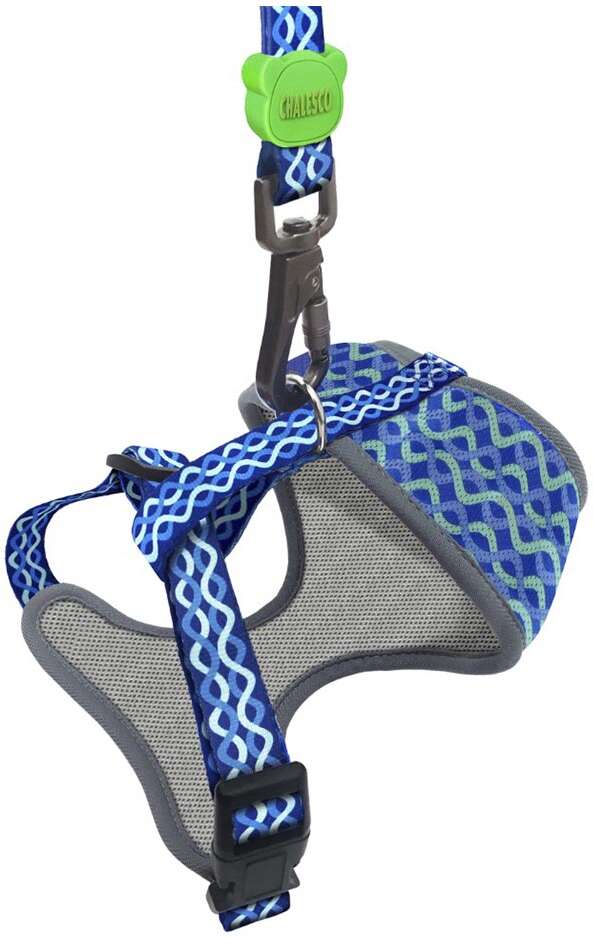 Peitoral Mesh Deluxe Onda para Cães - Tam. M
