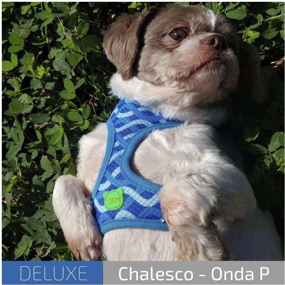 Peitoral Mesh Deluxe Onda para Cães - Tam. M