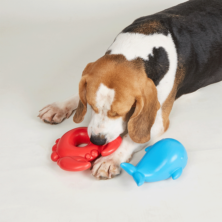 Brinquedo Mordedor Fofos Baleia Azul para Cães - Tam. Único