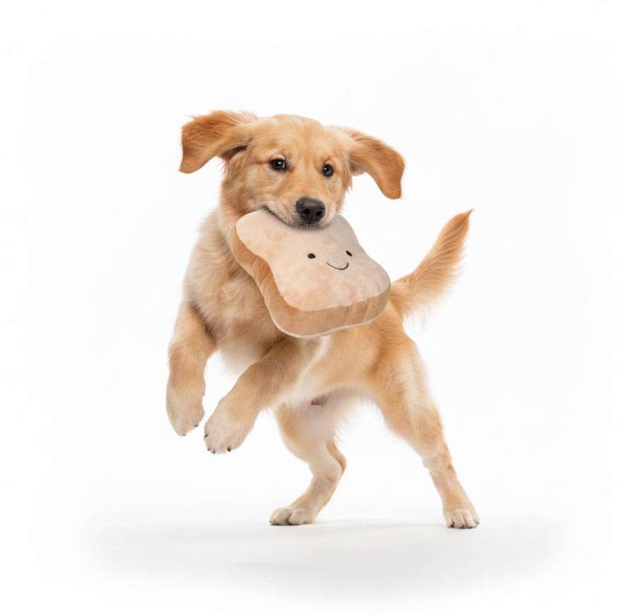 Brinquedo de Pelúcia Meau Pão de Forma para Cães - Tam. Único
