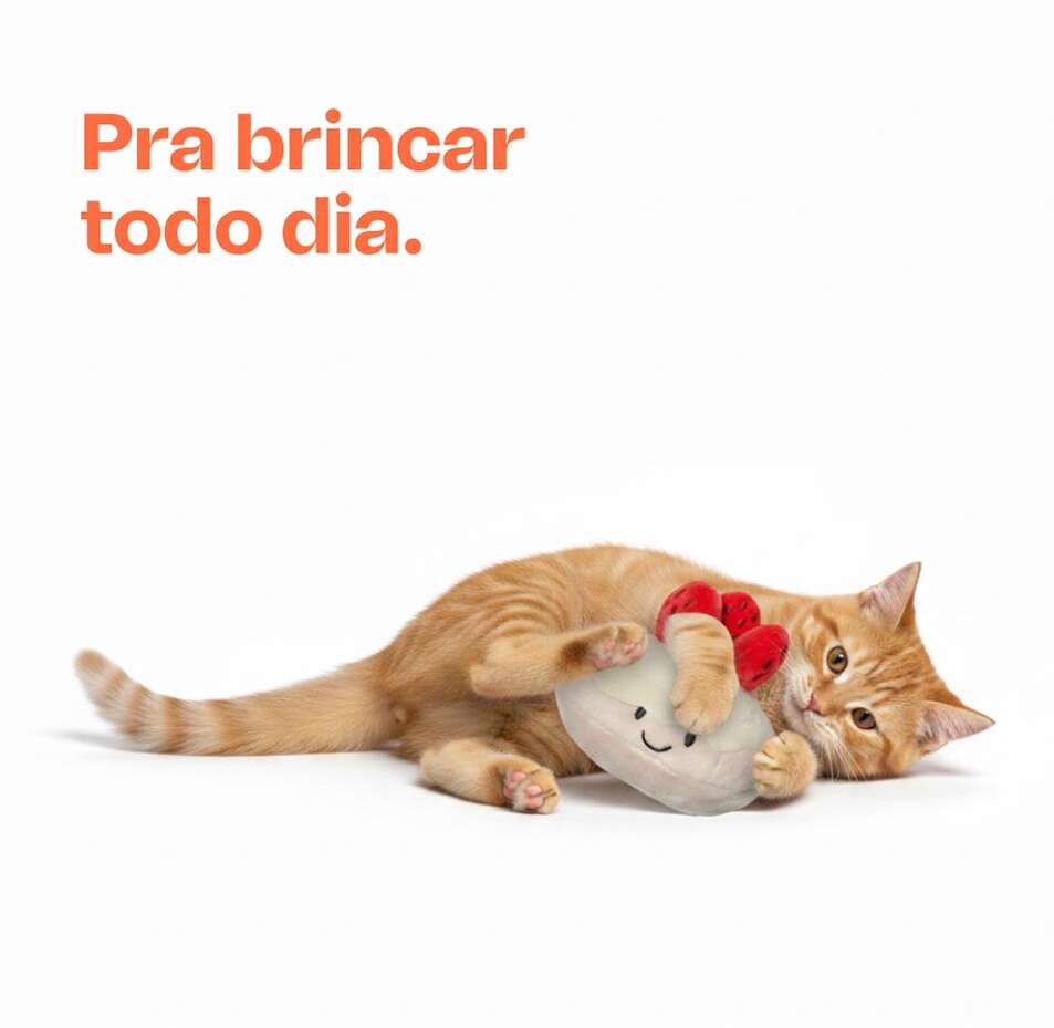 Brinquedo de Pelúcia Meau Torta de Morango com Catnip para Gatos - Tam. Único