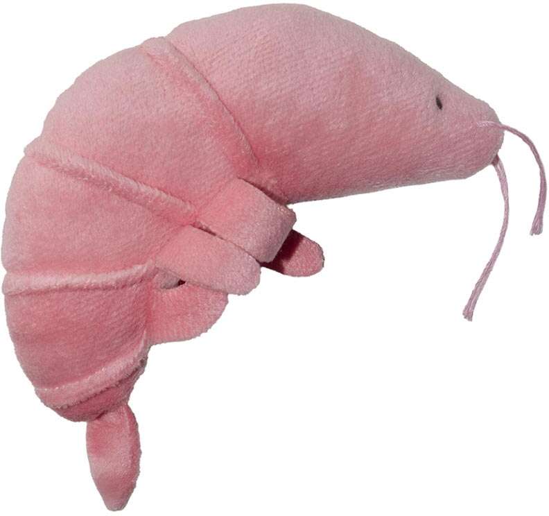 Brinquedo de Pelúcia Meau Camarão com Catnip para Gatos - Tam. Único