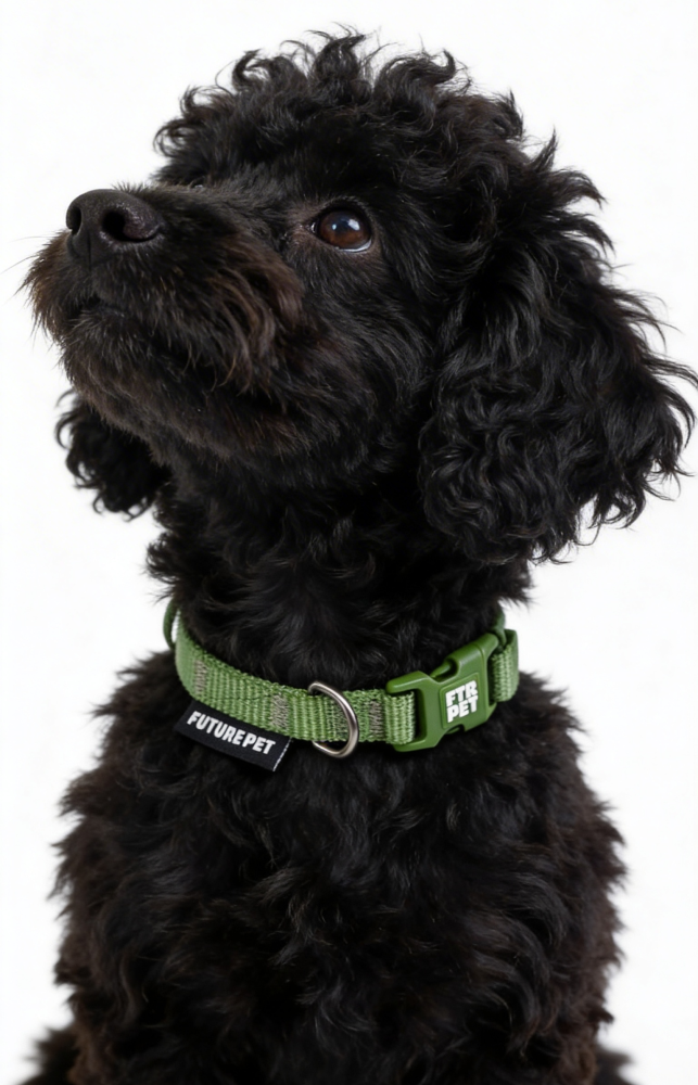 Coleira Future Pet Verde Pistache para Cães - Tam. P