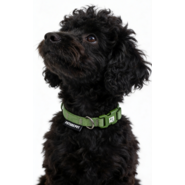 Coleira Future Pet Verde Pistache para Cães - Tam. M