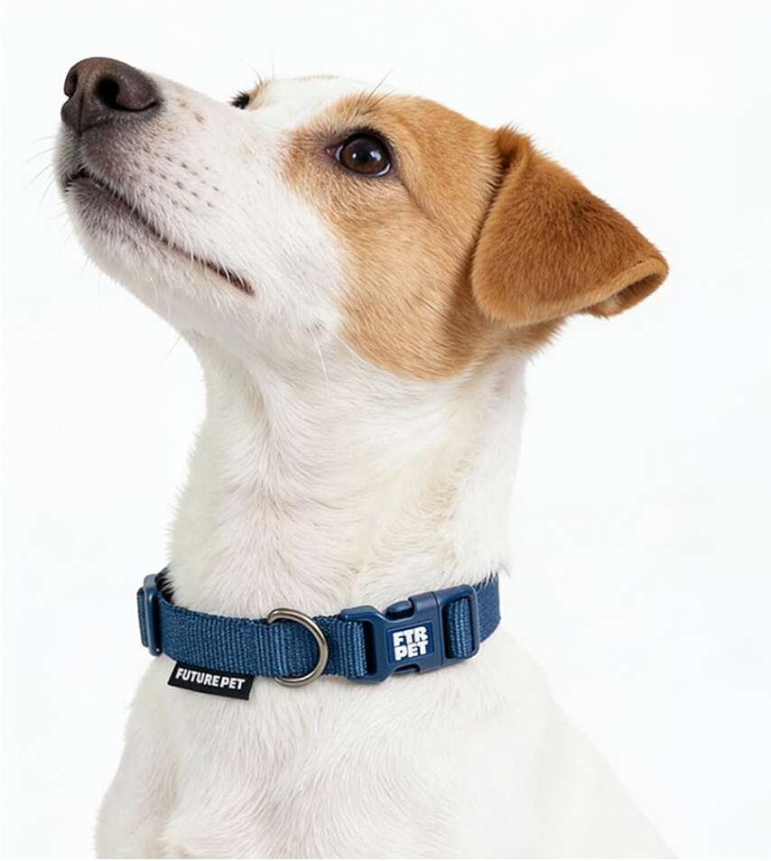 Coleira Future Pet Azul Marinho para Cães - Tam. M