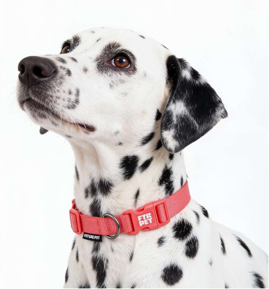 Coleira Future Pet Vermelho Argila para Cães - Tam. M