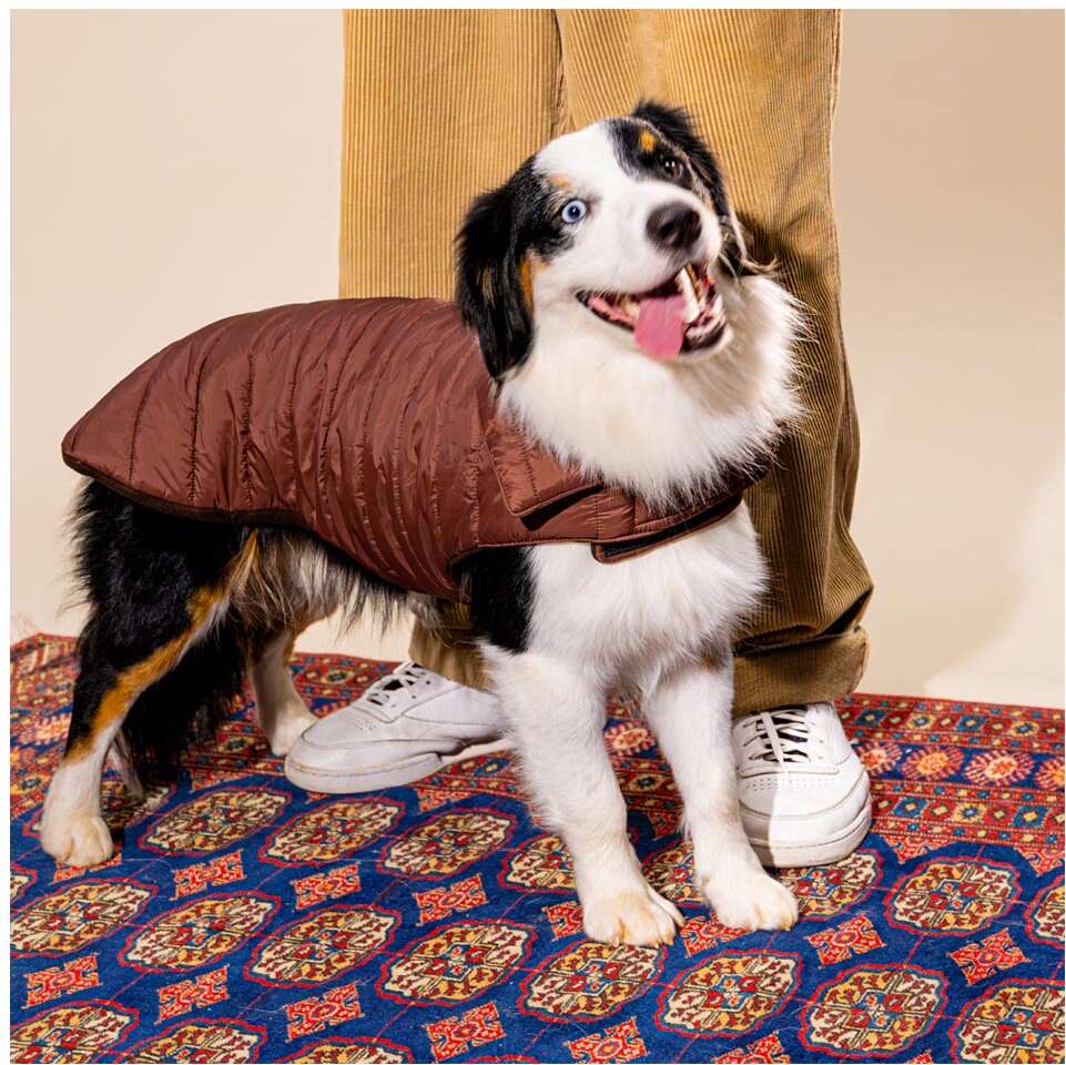 Jaqueta Meau Puffer Marrom - Tam. 04