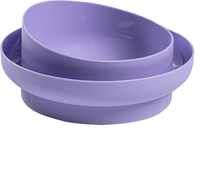 Comedouro Familia de Estimação Antiformiga Lilás para Cães - Tam. M