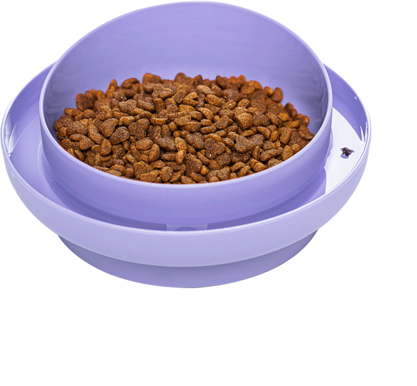 Comedouro Familia de Estimação Antiformiga Lilás para Cães - Tam. M
