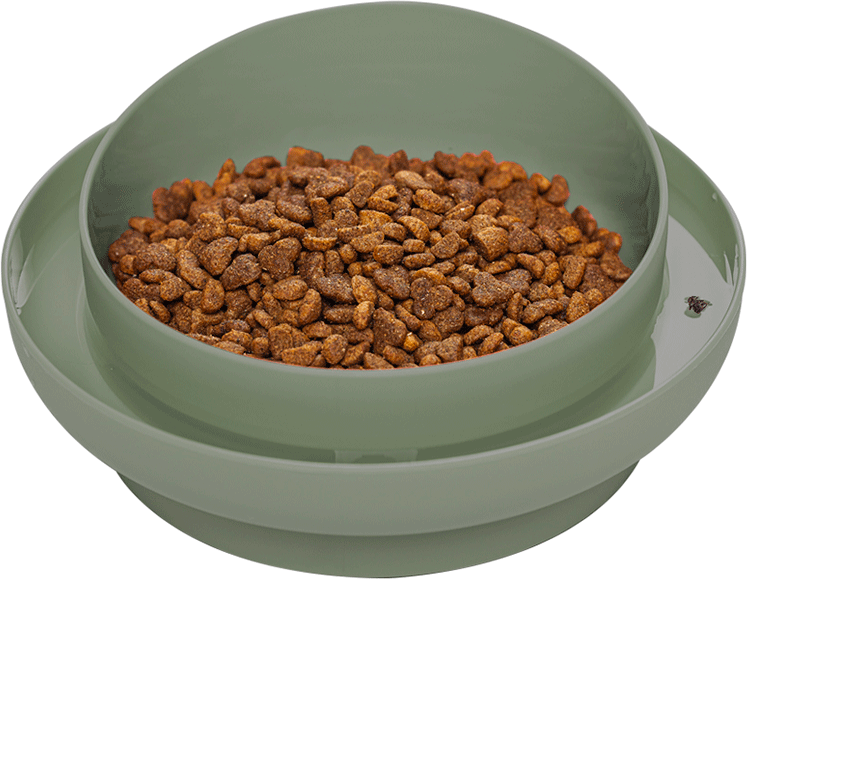 Comedouro Familia de Estimação Antiformiga Verde para Cães - Tam. M