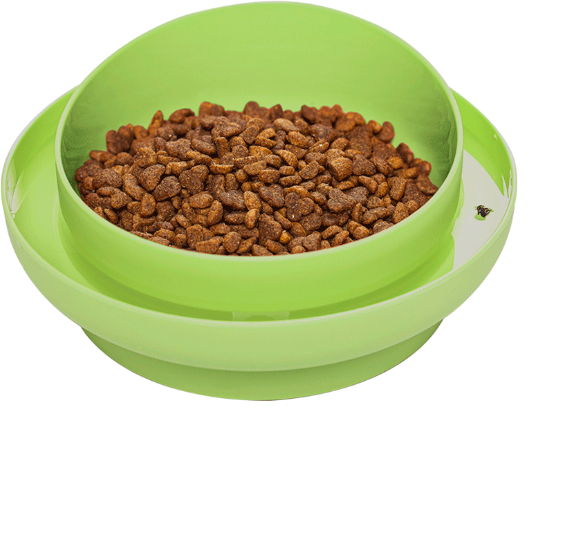 Comedouro Familia de Estimação Antiformiga Verde Cítrico para Cães - Tam. M