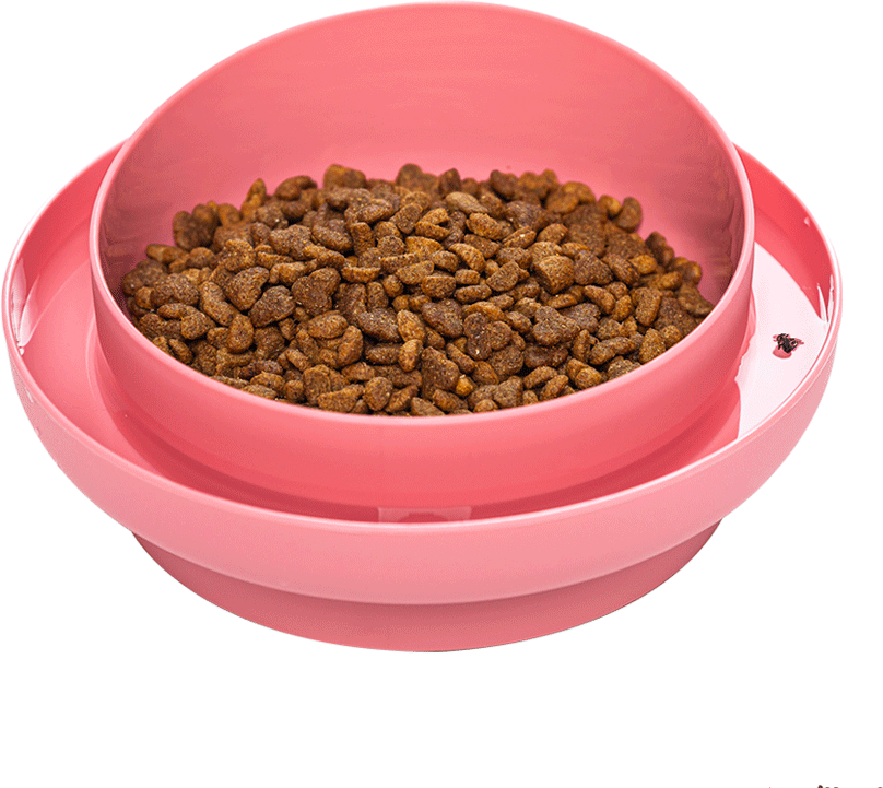 Comedouro Familia de Estimação Antiformiga Rosa para Cães - Tam. M