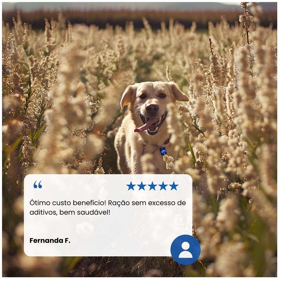 Ração Farmina N&D Ancestral Grain Selection Frango, Frutas e Cereais para Cães Adultos Raças Grandes - 15Kg