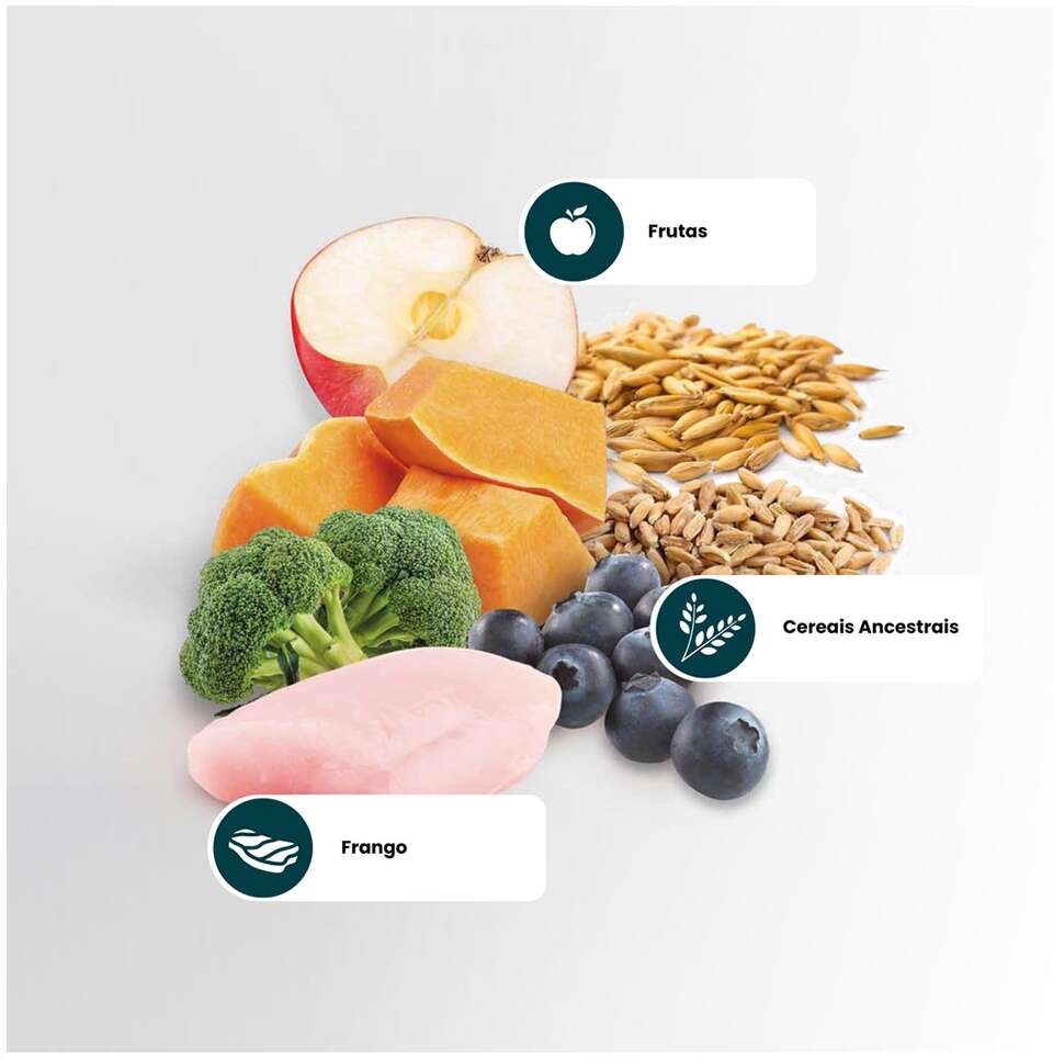 Ração Farmina N&D Ancestral Grain Selection Frango, Frutas e Cereais para Cães Adultos Raças Médias - 15Kg