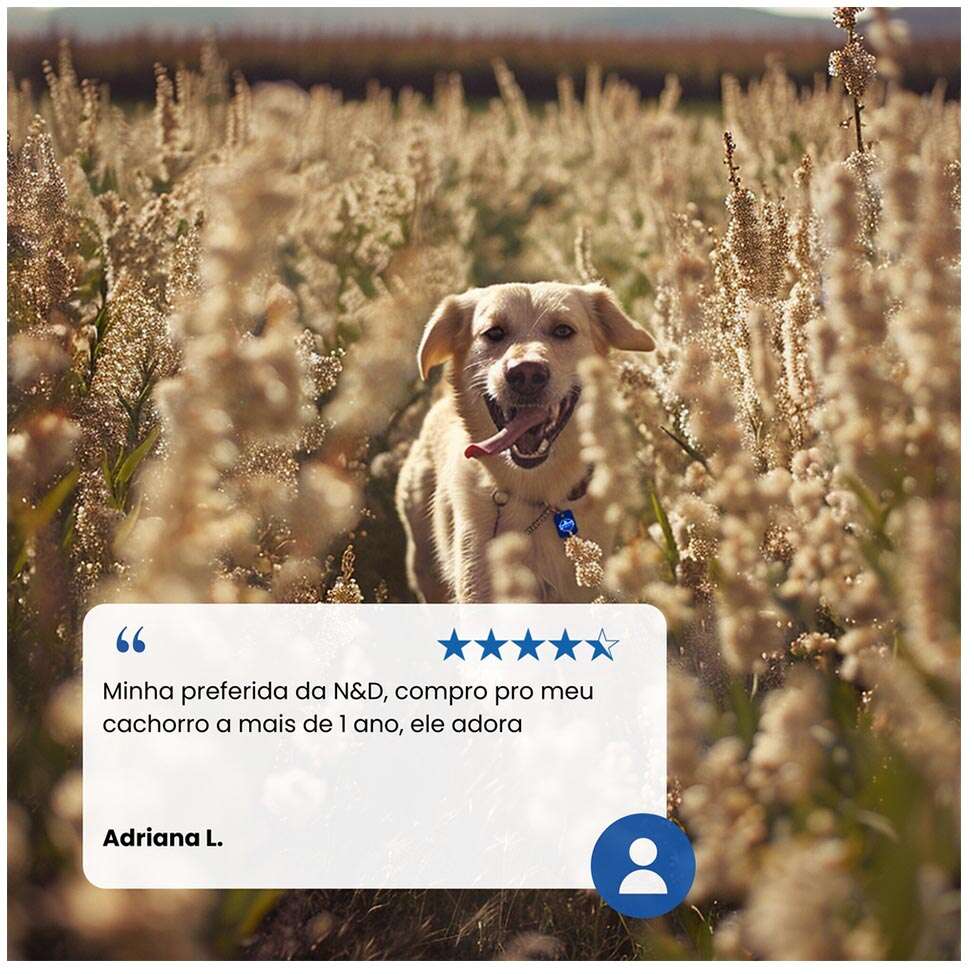 Ração Farmina N&D Ancestral Grain Selection Frango, Frutas e Cereais para Cães Filhotes Raças Grandes - 15Kg