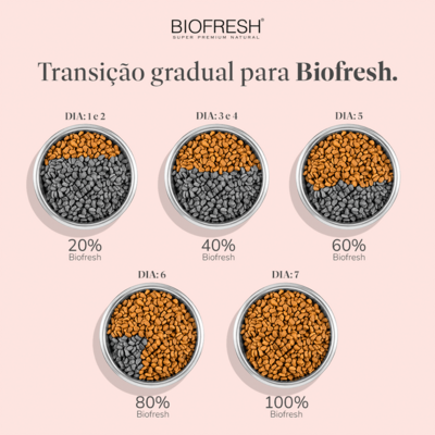 Ração Seca Biofresh Mix de Carne, Frutas, Legumes e Ervas Frescas Cães Adultos de Raças Pequenas e Minis