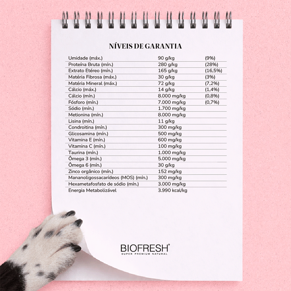 Ração Seca Biofresh Mix de Carne, Frutas, Legumes e Ervas Frescas Cães Adultos de Raças Pequenas e Minis - 10,1Kg