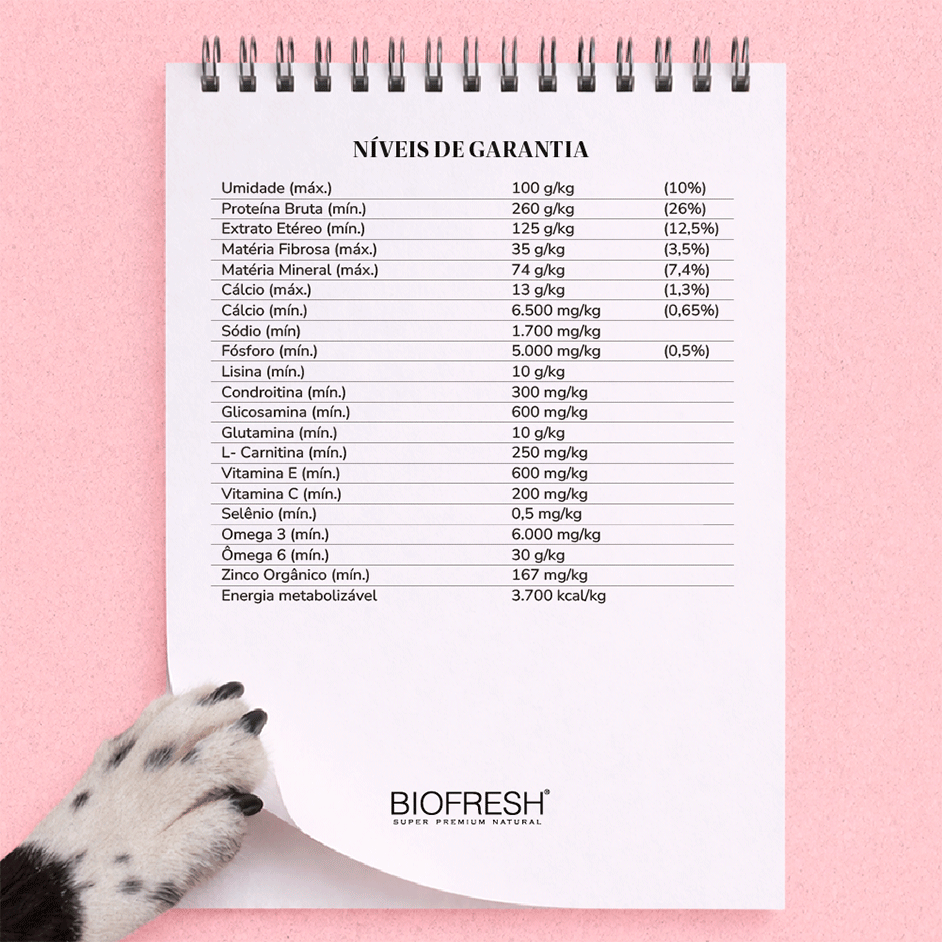 Ração Seca Biofresh Mix de Carne, Frutas, Legumes e Ervas Frescas Cães Sênior de Raças Médias - 10,1Kg