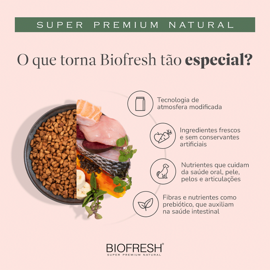 Ração Seca Biofresh Mix de Carne, Frutas, Legumes e Ervas Frescas Cães Sênior de Raças Grandes e Gigantes - 15Kg