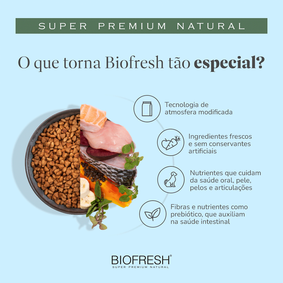 Ração Seca Biofresh Salmão, Maçãs, Chá Verde e Blueberry para Gatos Filhotes - 1,5Kg