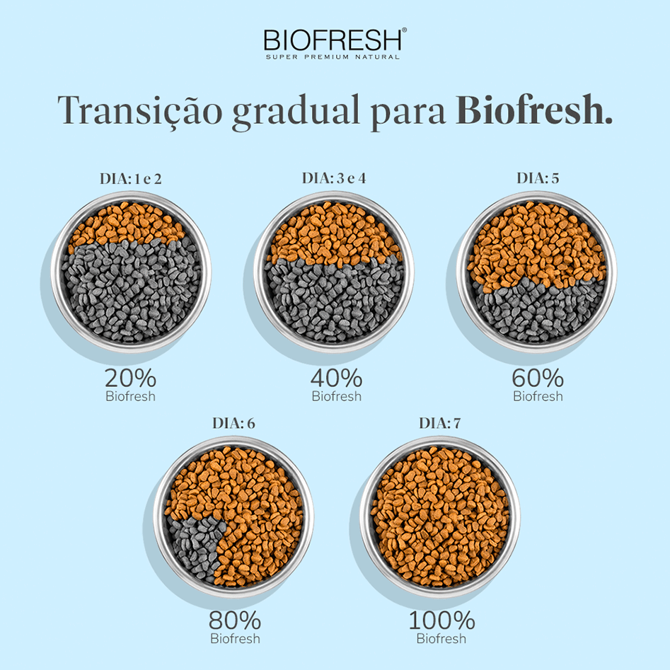Ração Seca Biofresh Salmão, Maçãs, Chá Verde e Blueberry para Gatos Filhotes - 1,5Kg