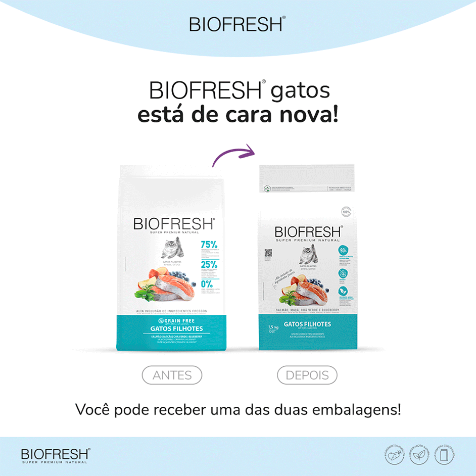 Ração Seca Biofresh Salmão, Maçãs, Chá Verde e Blueberry para Gatos Filhotes - 1,5Kg