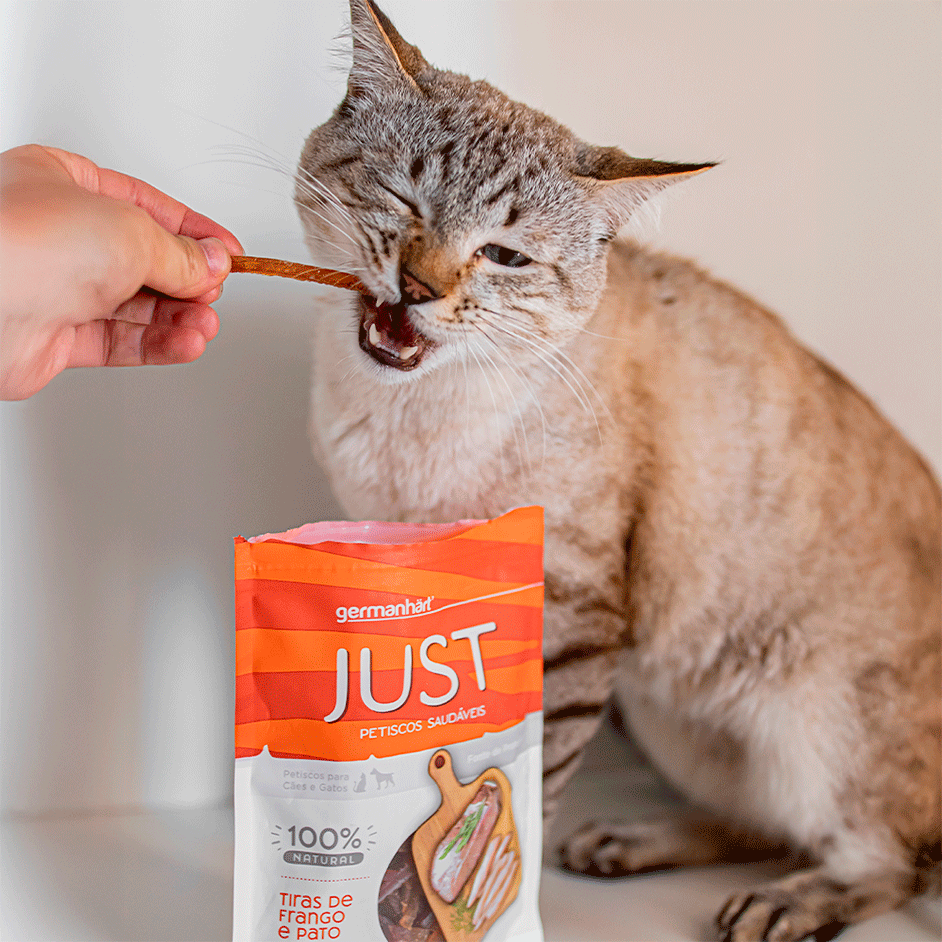 Petisco Natural Just sabor Mix de Pato e Frango para Cães e Gatos - 75 g