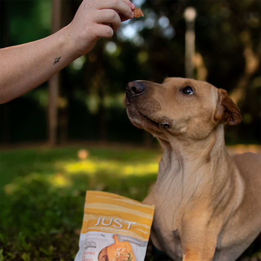 Petisco Natural Just sabor Frango para Cães - 75 g