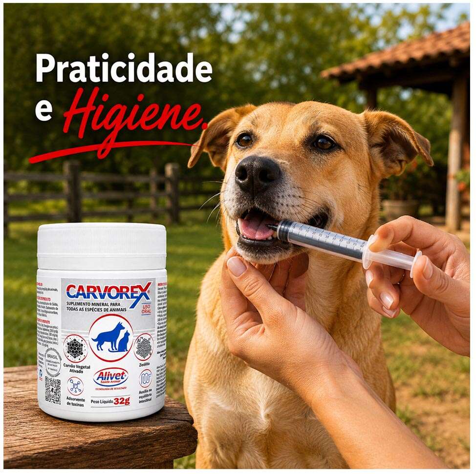 Suplemento Vitamínico Alivet Carvorex para Cães e Gatos - 32 g