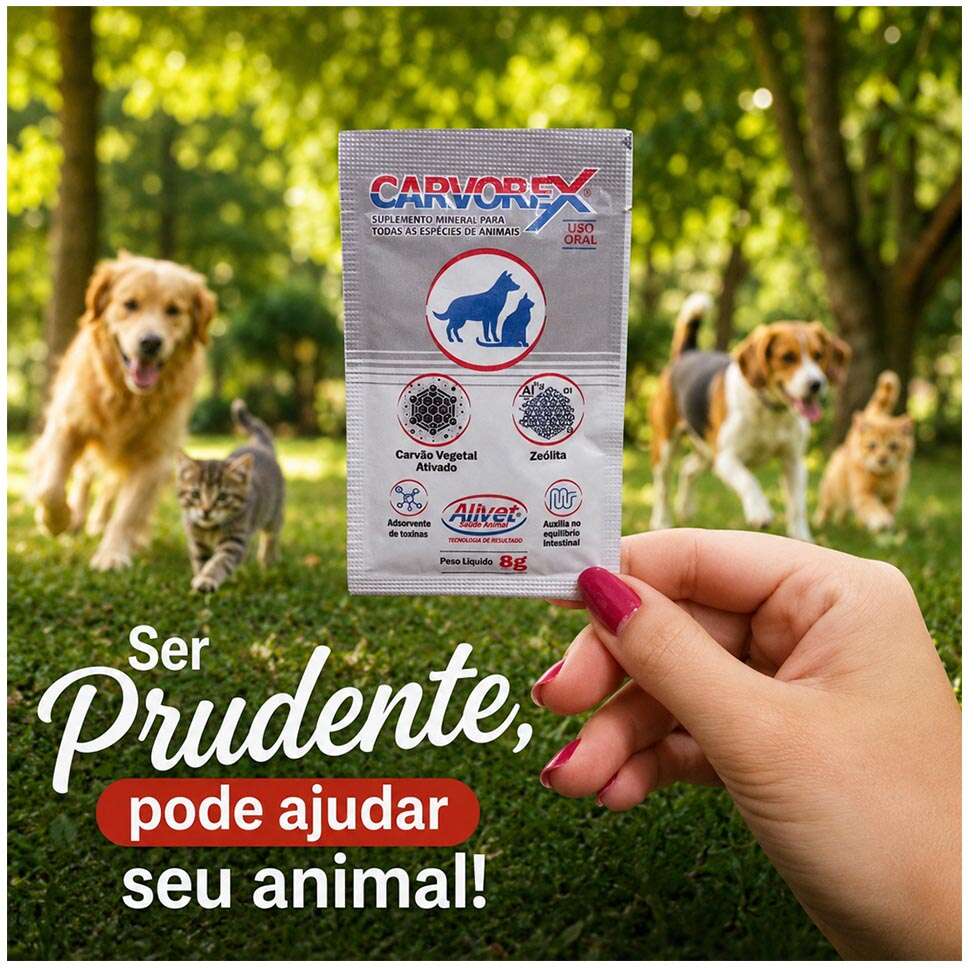 Suplemento Vitamínico Mineral Aminoácido Alivet Carvorex pó - 8 g