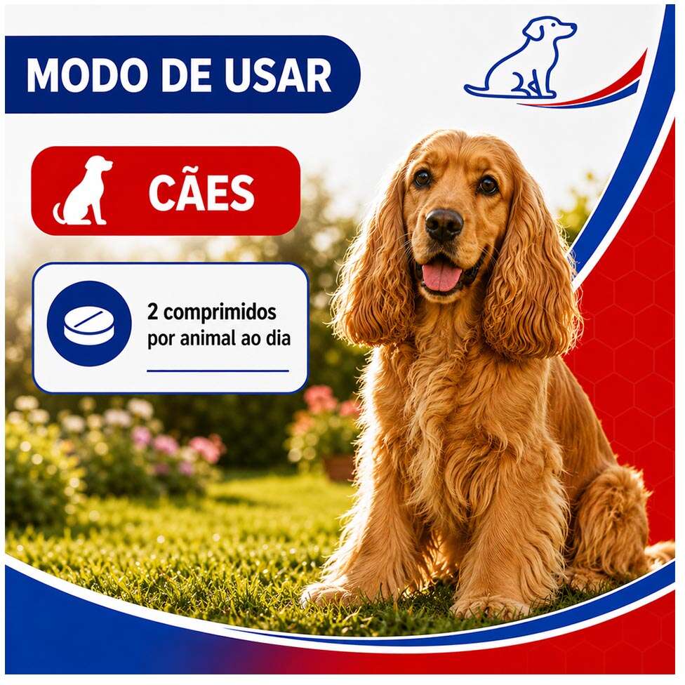 Suplemento Vitamínico Mineral Aminoácido Alivet Dog Slim 60 comprimidos - 1.000 mg